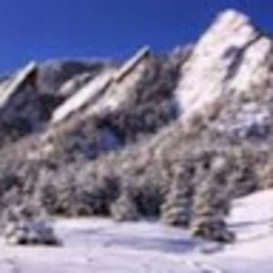 Meet your Posher, Terri